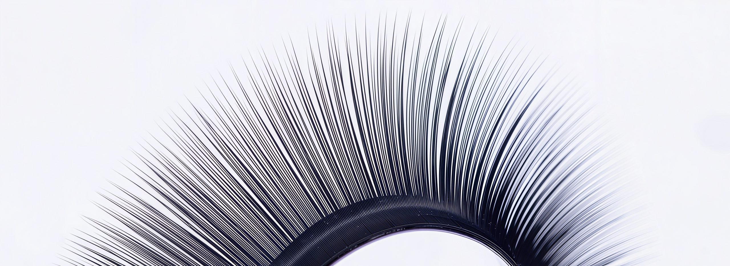 Camellia Fast-Fanning Lashes