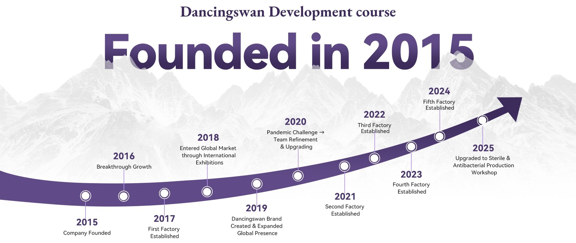 DancingSwan New Product Innovation