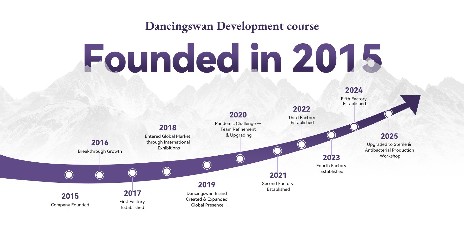 DancingSwan New Product Innovation