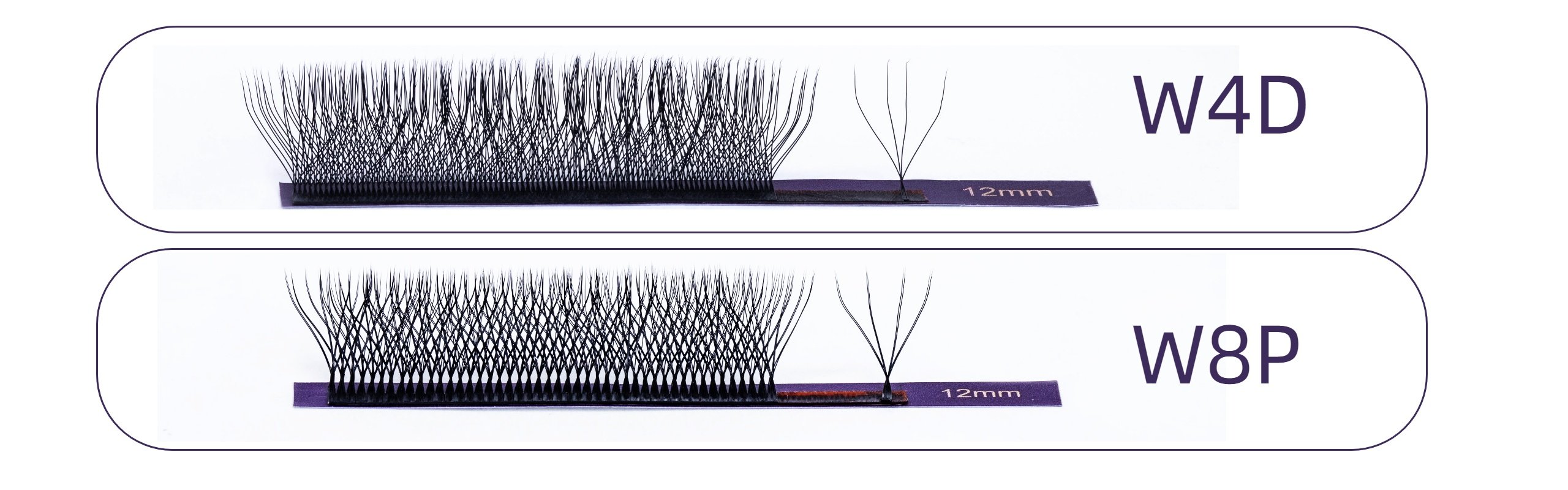 The difference between double 4D W lashes and 4D W lashes