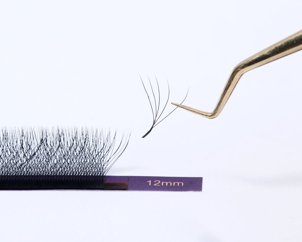 5D W Lash extensions
