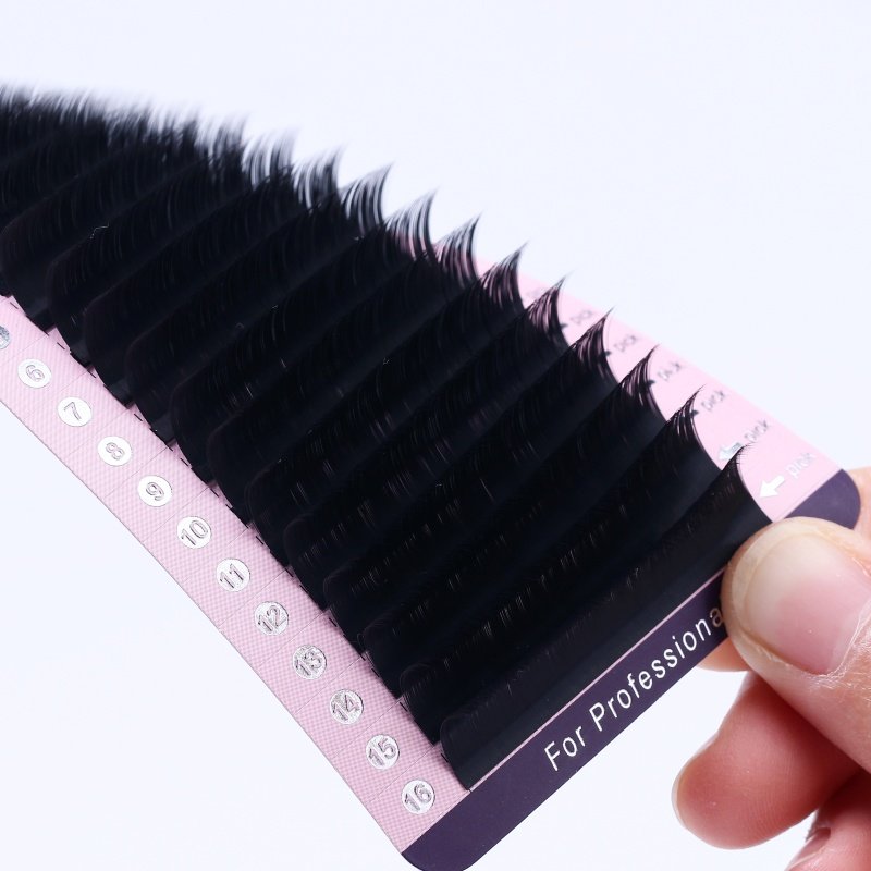 Camellia Lashes Free sammple