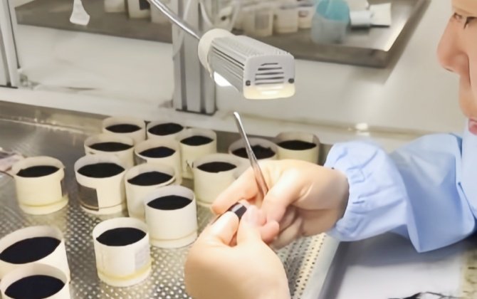 W6D Lashes maufacturer