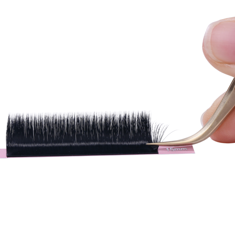 fast-fanning Camellia lashes-pick off