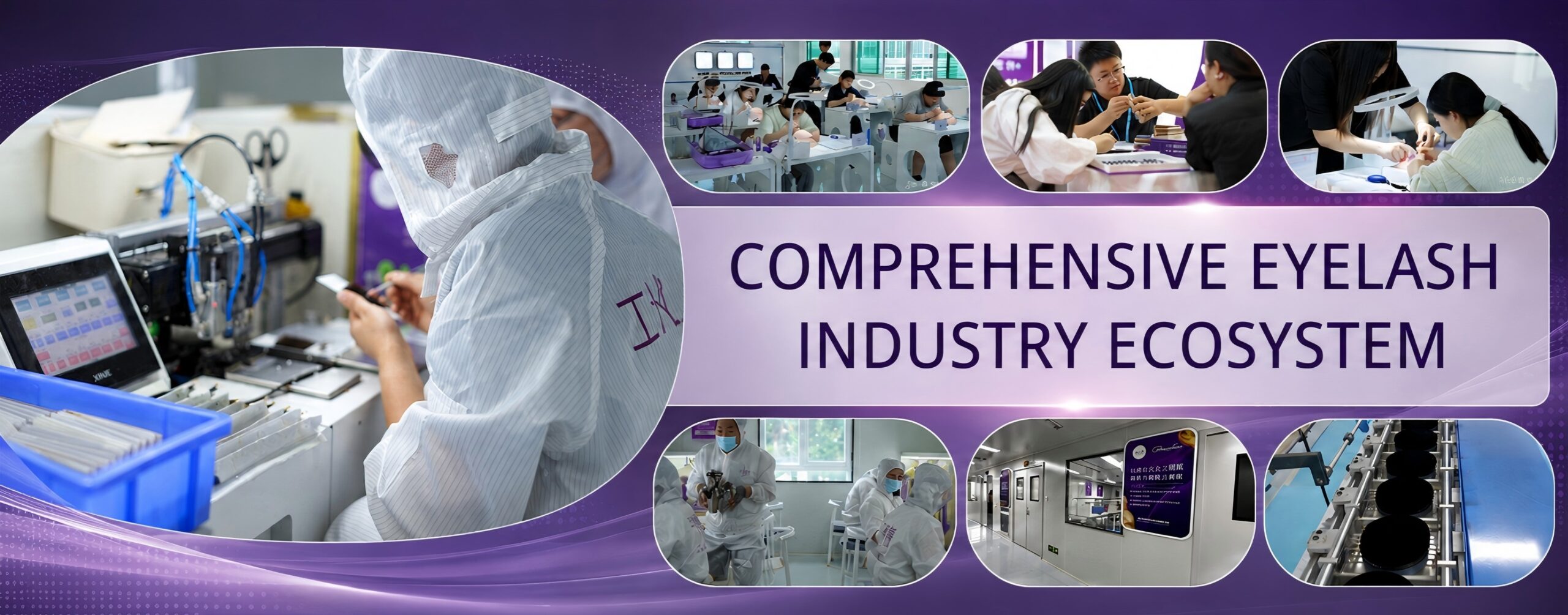 Comprehensive Eyelash Industry Ecosystem